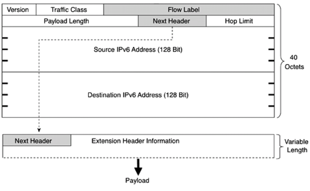 header IPv6